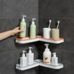 Raft Organizues - Figura 2
