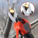 Gërshërë me Bateri për Krasitje - Figura 2