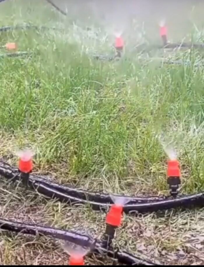Sistem freskues për ujitje - Figura 1