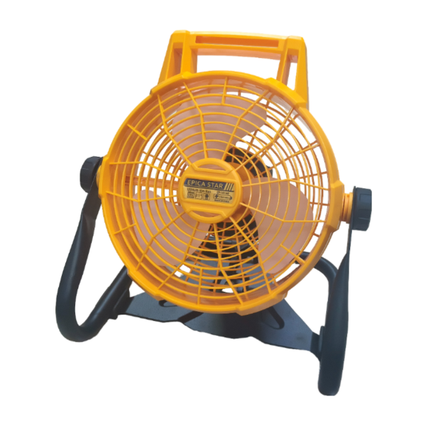 IMG_4195 Flladitëse - Figura 1