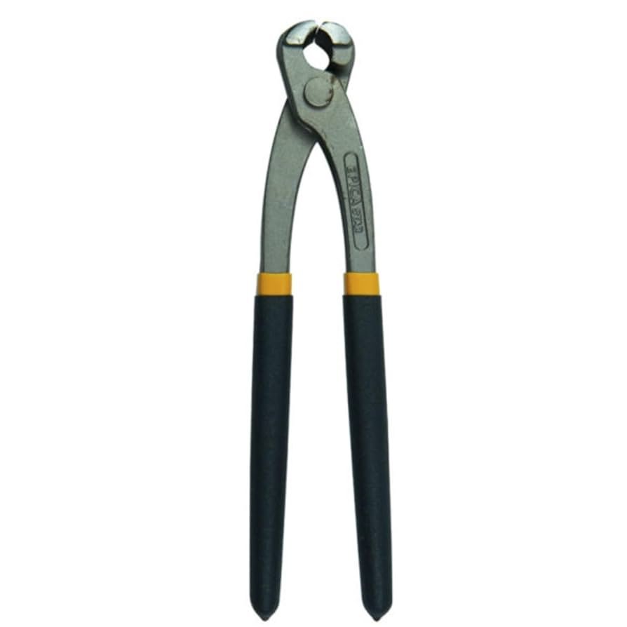 IMG_4353 Dana Teli të Mëdha - Figura 1