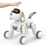 Qen robot interaktiv – Dexterity - Figura 2