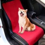 Mbulesë për Qen – Mbrojtëse për Dysheme - Figura 2