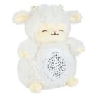 Lodra Pellushi me Projektor Yjesh - Figura 3