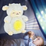 Lodra Pellushi me Projektor Yjesh - Figura 2