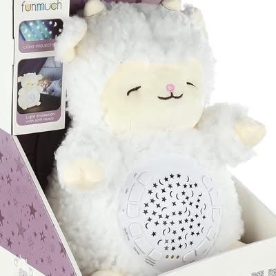 Lodra Pellushi me Projektor Yjesh