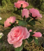 Drita Diellore në Formë Trëndafili për Dekorim Kopshti - Figura 2