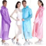 Pelerinë Shiu për Të Rritur - Figura 3