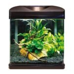 Akvarium Dekorativ me Dizajn Modern