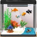 Akvarium Dekorativ me Dizajn Modern - Figura 2