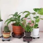 Bazë Me Rrota për Vazo Bimësh - Figura 3