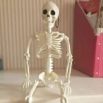 Skelet dekorativ plastike - Figura 3