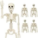 Skelet dekorativ plastike - Figura 2