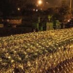 Rrjetë Dritash LED në Formë Ombrele - Figura 2