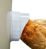 Derivat Ushqimi për Pule (Tub Ushqyes)