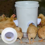 Derivat Ushqimi për Pule (Tub Ushqyes) - Figura 3