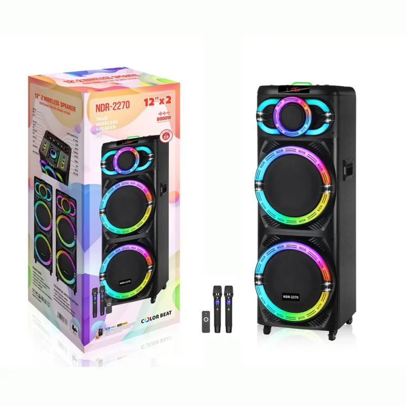 Sistem Audio Profesional 12×2