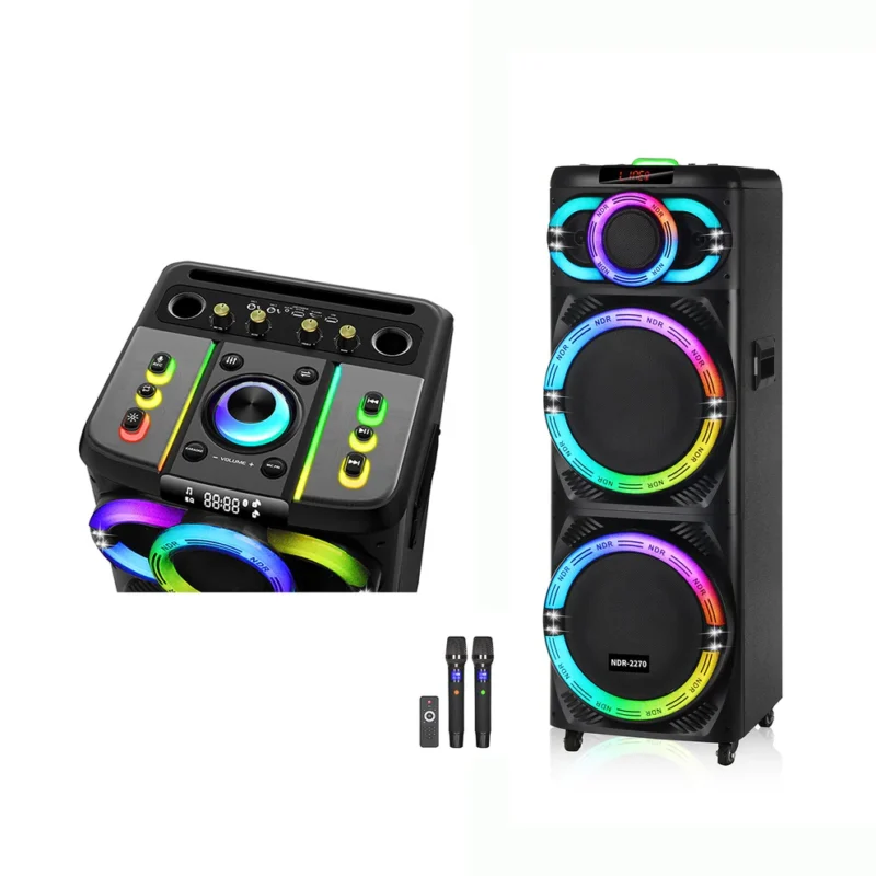 Sistem Audio Profesional 12×2 thumbnail 2