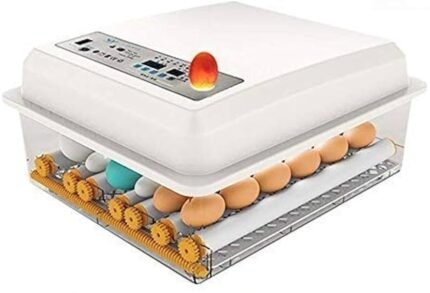 Inkubator për Vezë (36 Copë)