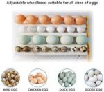 Inkubator për Vezë (36 Copë) - Figura 2