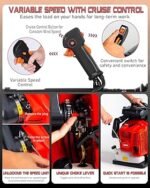 Fryrës me Benzinë për Gjethe - Figura 2