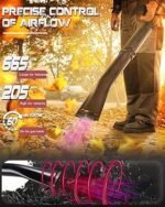 Fryrës me Benzinë për Gjethe - Figura 3