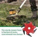 Disk Krasitës për Bar dhe Ferra - Figura 2