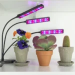 Dritë LED për bimë