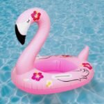 Flamingo Fryrës për Pishinë