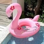 Flamingo Fryrës për Pishinë - Figura 2