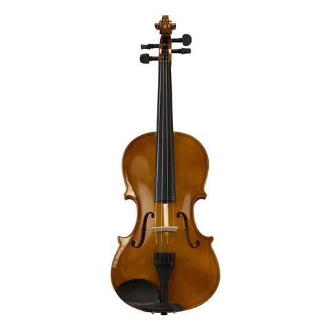 IMG_8251 Violinë - Figura 1