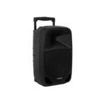 Altoparlant Fonestar me Mikrofona Wireless - Figura 2